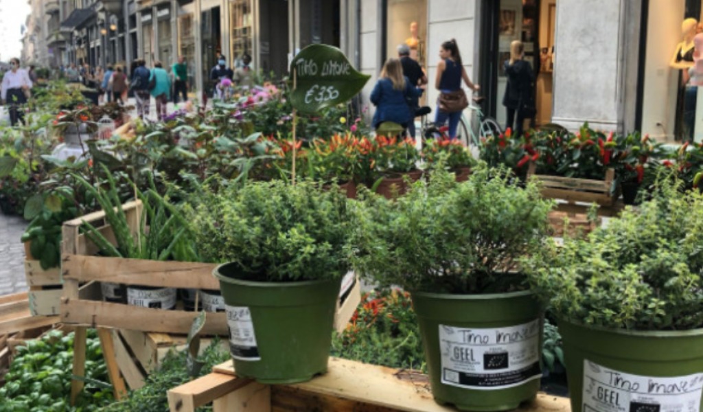 Cosa fare a Cremona e provincia nel weekend: eventi di sabato 18 e domenica 19 aprile 2026