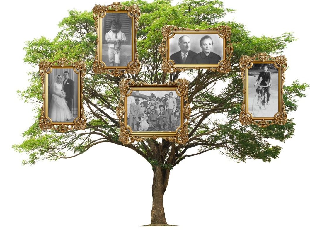 Dalla storia dei Colombo ai cognomi «di fantasia»: focus sulla genealogia brianzola