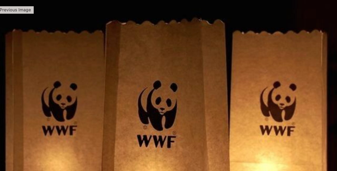 “Di erbe e antichi saperi”: il WWF Lecco propone un viaggio tra natura e tradizioni