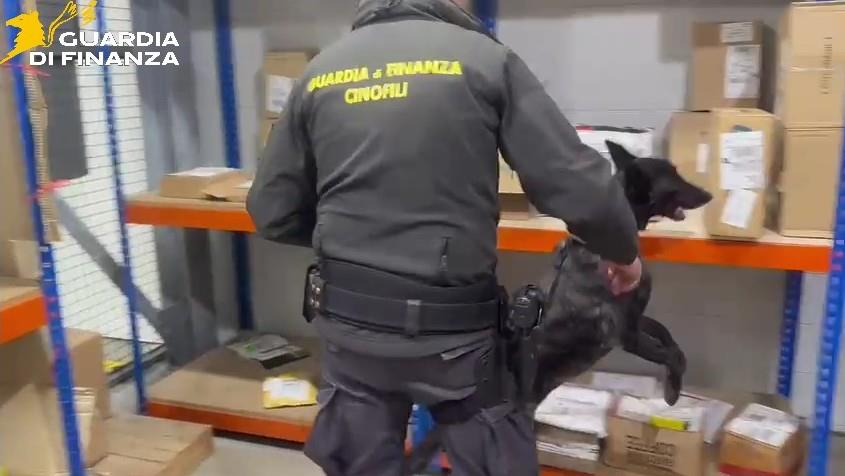 Droga spedita per pacco sequestrata dalla Guardia di finanza