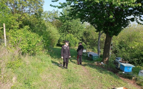 Femminicidi: uccide la ex e il suo nuovo compagno, poi si toglie la vita