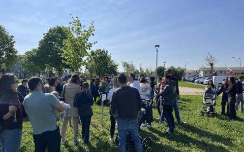 Fontanella celebra la Festa dell’Albero: nuove radici per il futuro
