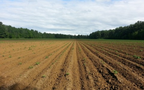 In Regione Piemonte sottoscritto il Manifesto di intenti del progetto Digi Open lab