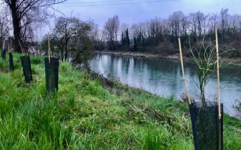 L’opposizione non è d’accordo: «Per Curno aderire al Parco dei Colli porta criticità e vincoli»