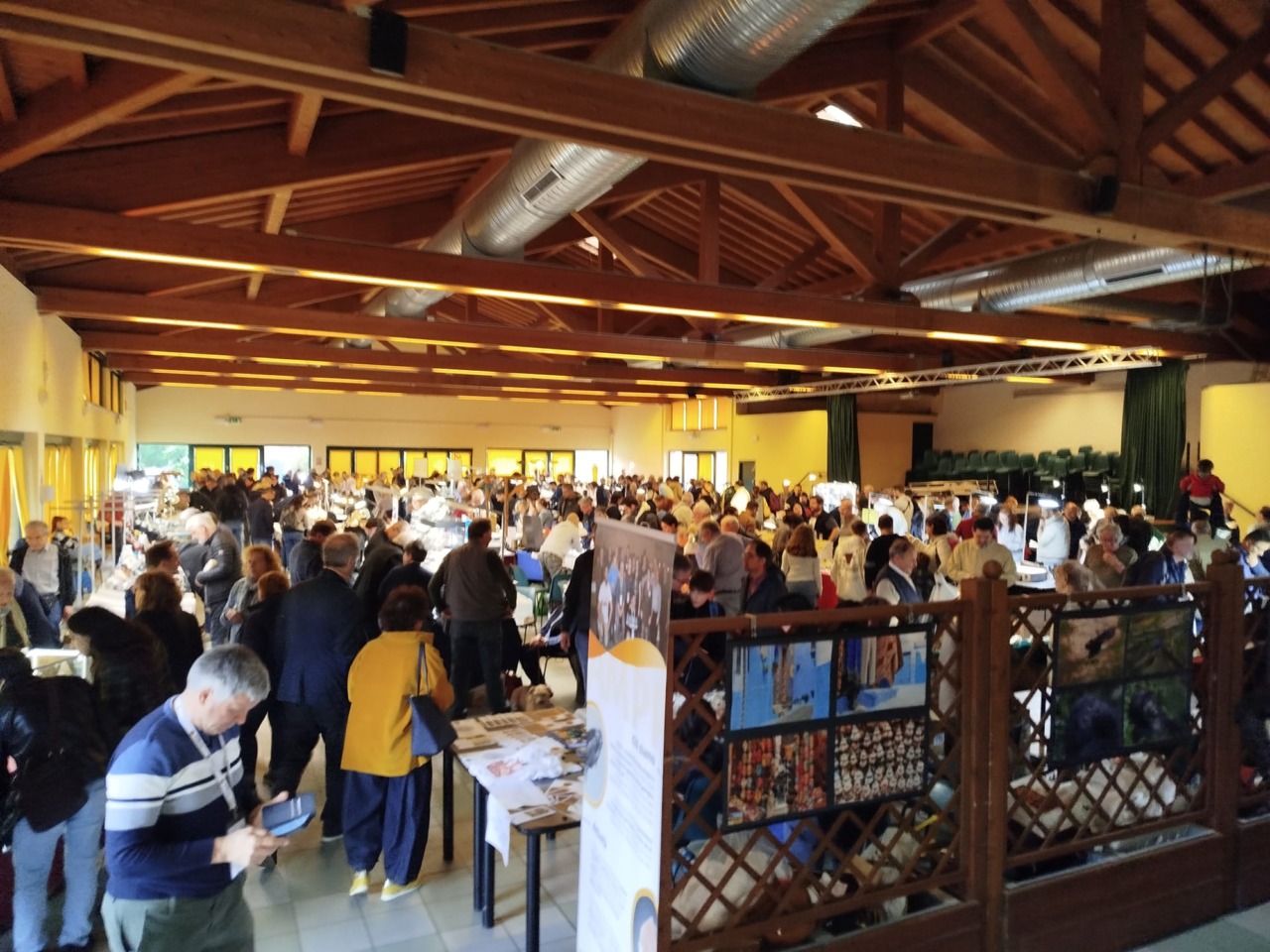 MineralPavia, successo di pubblico a San Genesio: la passione per minerali e fossili conquista visitatori di tutte le età