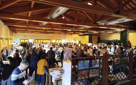 MineralPavia, successo di pubblico a San Genesio: la passione per minerali e fossili conquista visitatori di tutte le età