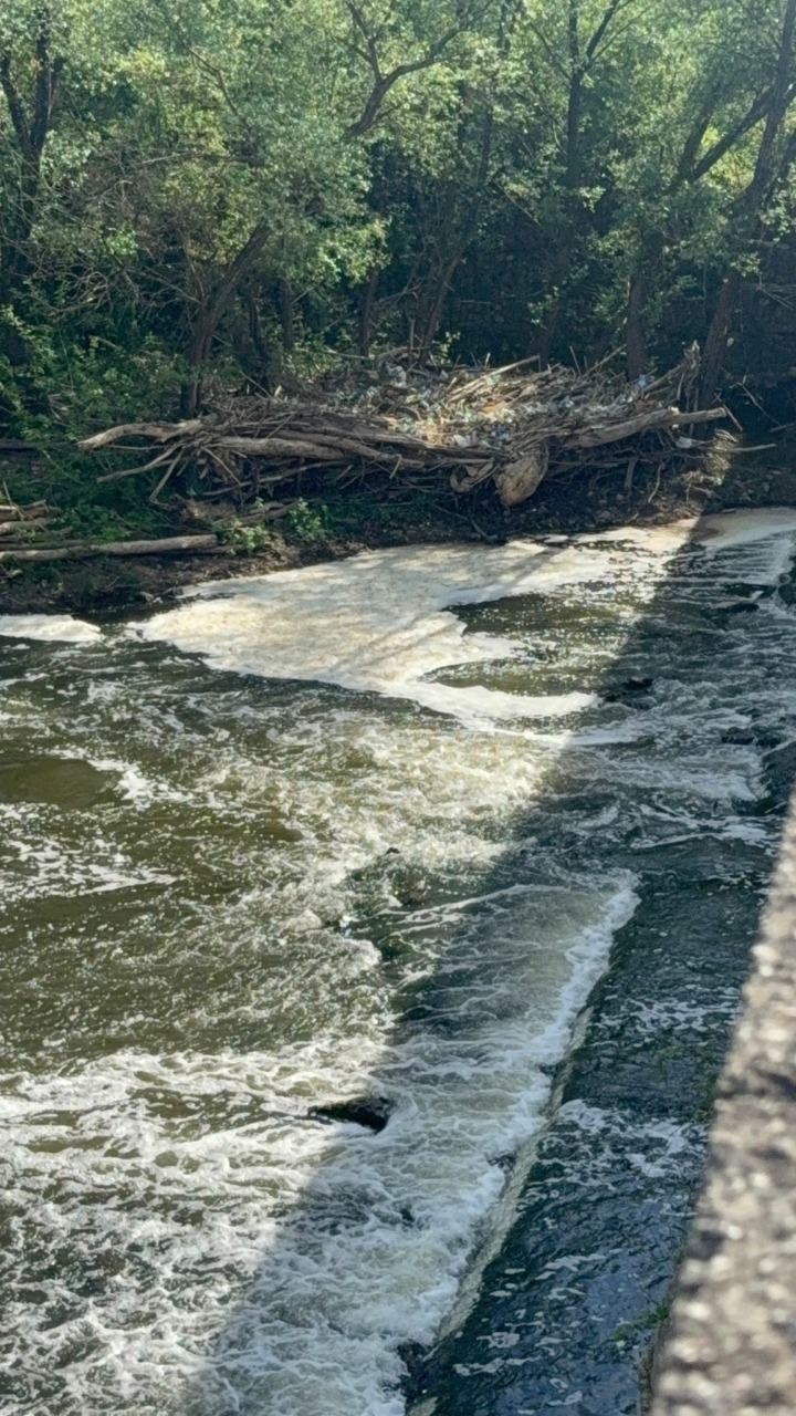 Nuovo sversamento nel fiume Sacco, schiuma sulle acque