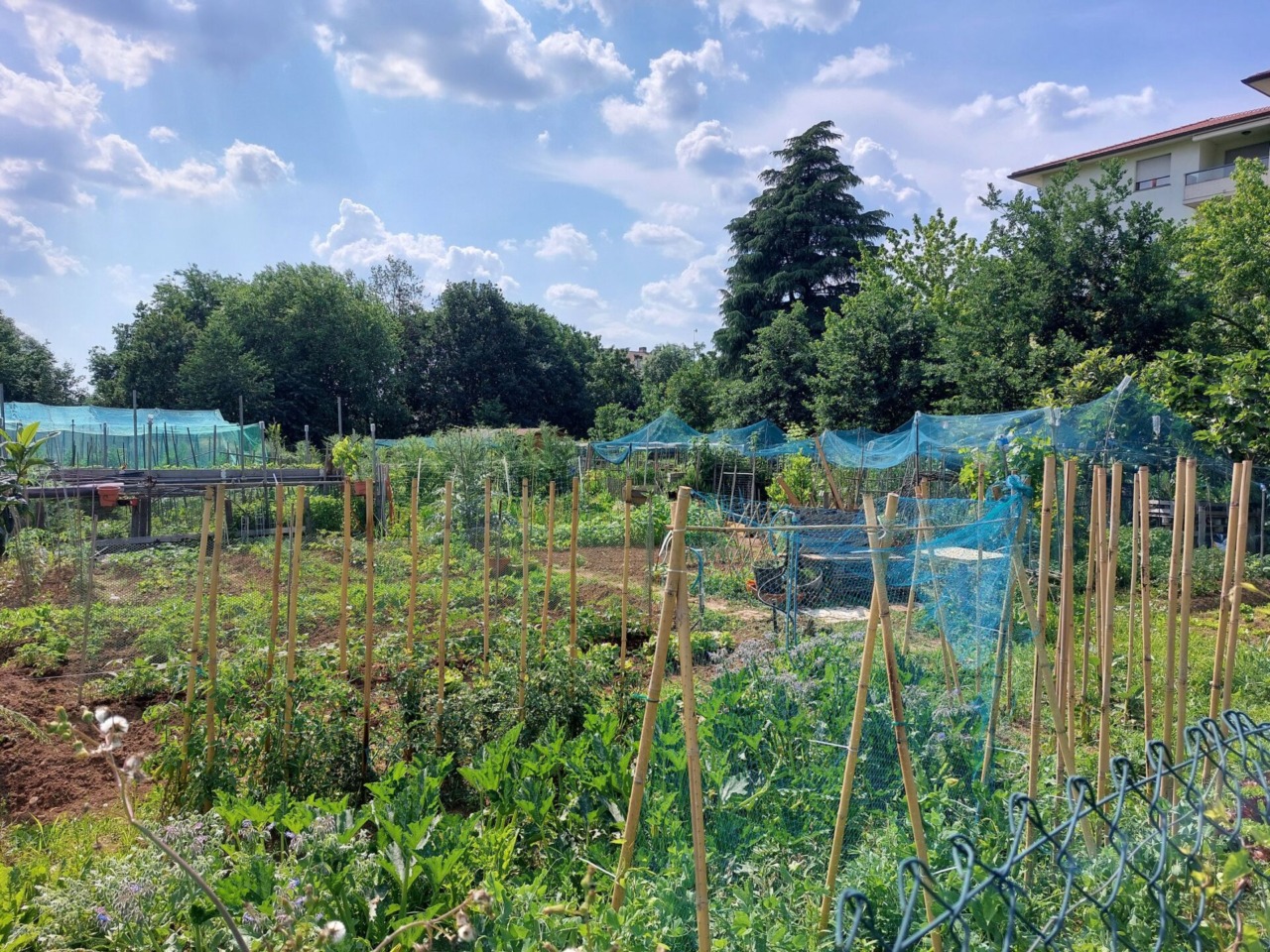 Orti urbani, si accettano domande per l’assegnazione