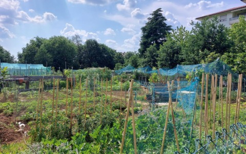 Orti urbani, si accettano domande per l’assegnazione