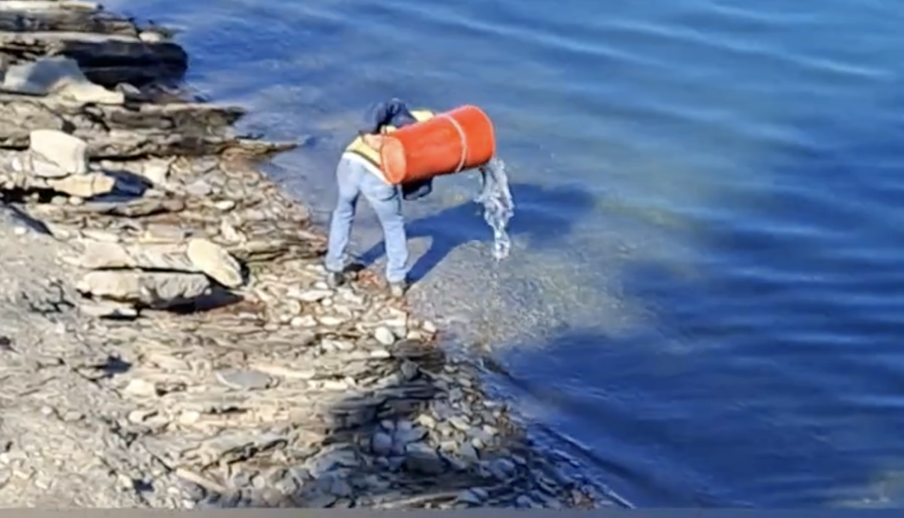 Pasqua a Giacopiane, immesse trote “big” fino a 3 chili