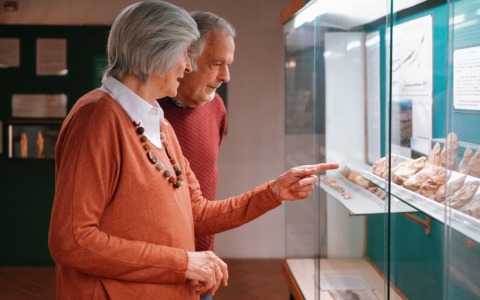 Pavia al centro del progetto “Creative Age”: i musei diventano spazi di cura per Alzheimer e famiglie