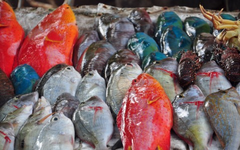 Pesce a tavola tra timori e cambiamenti