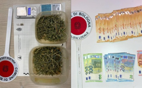Salvano un cane e trovano della droga, la polizia locale denuncia 59enne