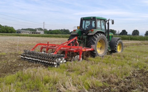 Sostegno storico per i risicoltori: Acea concede 370,11 euro ad ettaro per l’aiuto accoppiato