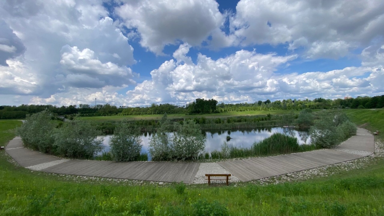 Uccelli migratori e nidificanti