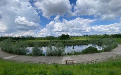 Uccelli migratori e nidificanti