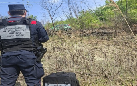Un “abbruciamento” sfugge al controllo: distrutti dalle fiamme 1500metri quadrati di bosco