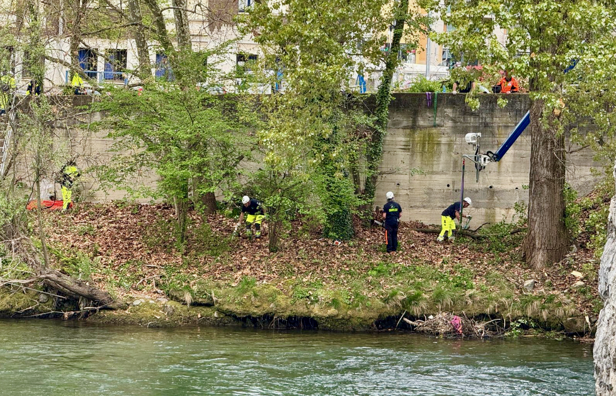 Una bonifica provvidenziale è stata effettuata nella zona del Ponte Romanico di Albino