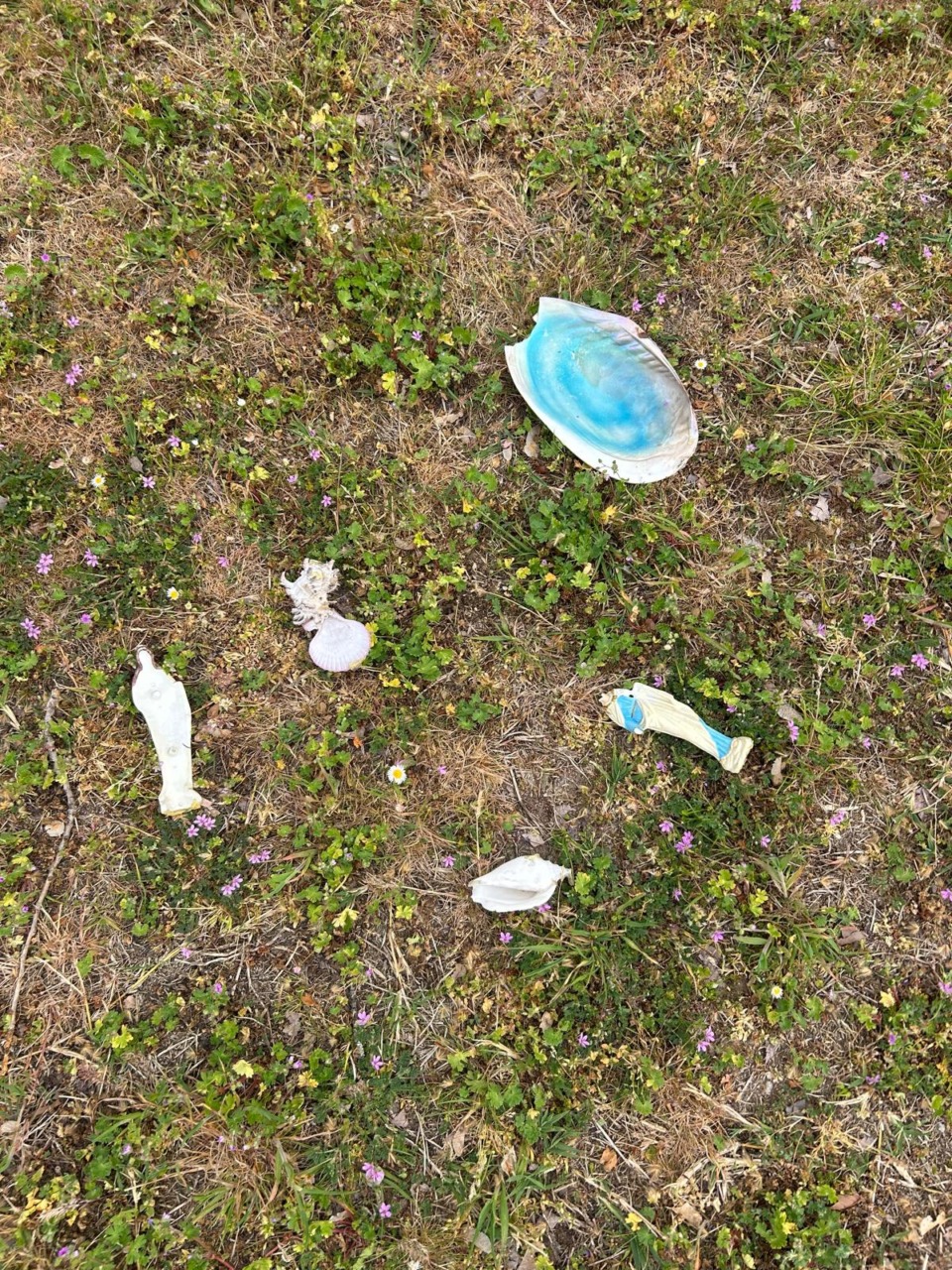 Vandali al cimitero, la condanna del sindaco: “Installeremo telecamere anche dove mai pensavamo di metterle”