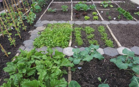 Via alle domande per assegnare gli orti urbani