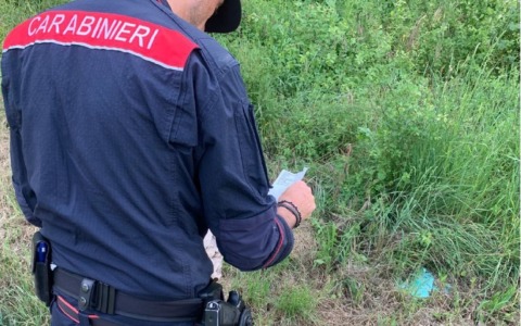 Abbandono di rifiuti, i Carabinieri sanzionano 4 persone