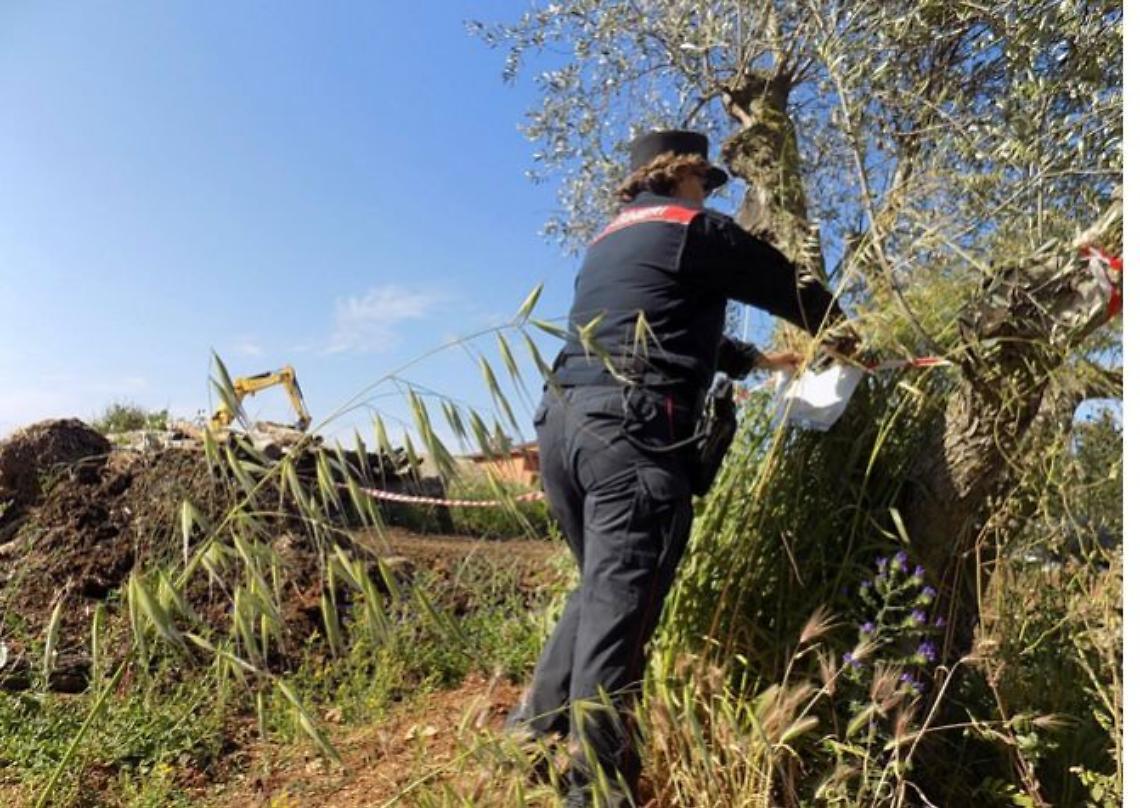 Abusivismo: sbancamenti in zona protetta, scatta il sequestro