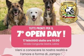 Amici del cane, open day domenica 17 maggio