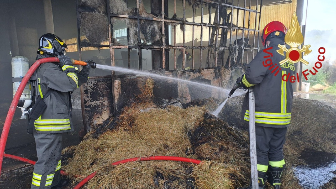 Bruciano dieci rotoballe di fieno, intervengono i Vigili del fuoco