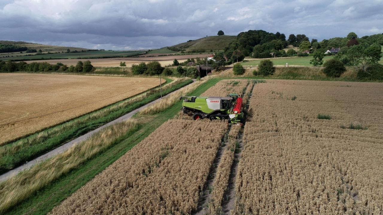 Caldo anomalo nel Pavese, agricoltura a rischio: “Serve una rivoluzione idrica”
