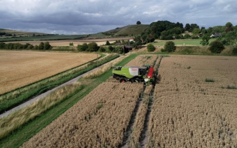 Caldo anomalo nel Pavese, agricoltura a rischio: “Serve una rivoluzione idrica”