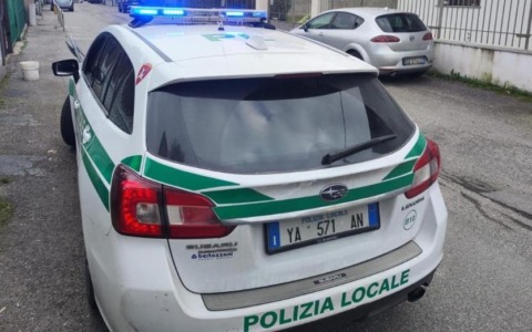 Cane azzanna un anziano a gambe e braccia: denunciato il proprietario