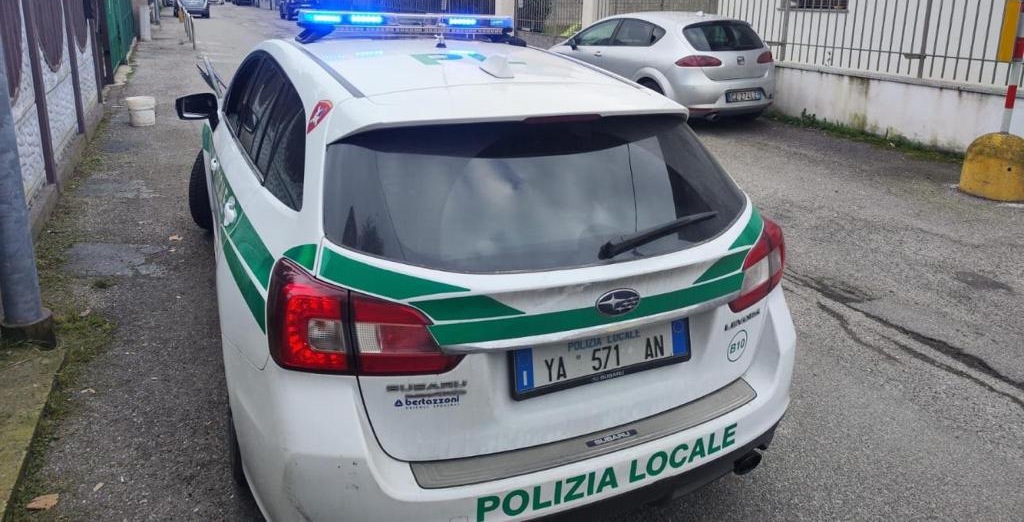 Cane azzanna un anziano a gambe e braccia: denunciato il proprietario