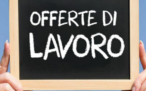 Cerchi lavoro? Scopri le offerte attive a Pavia e provincia (21 – 27 maggio 2026)