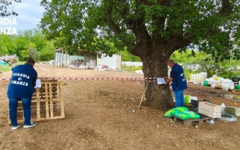 Contrasto al lavoro irregolare nel settore agroalimentare, le ispezioni della Guardia di  Finanza
