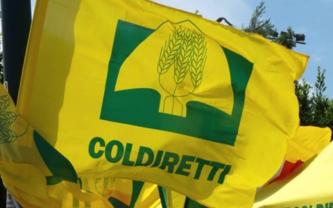 Filiera del latte, incontro in Regione