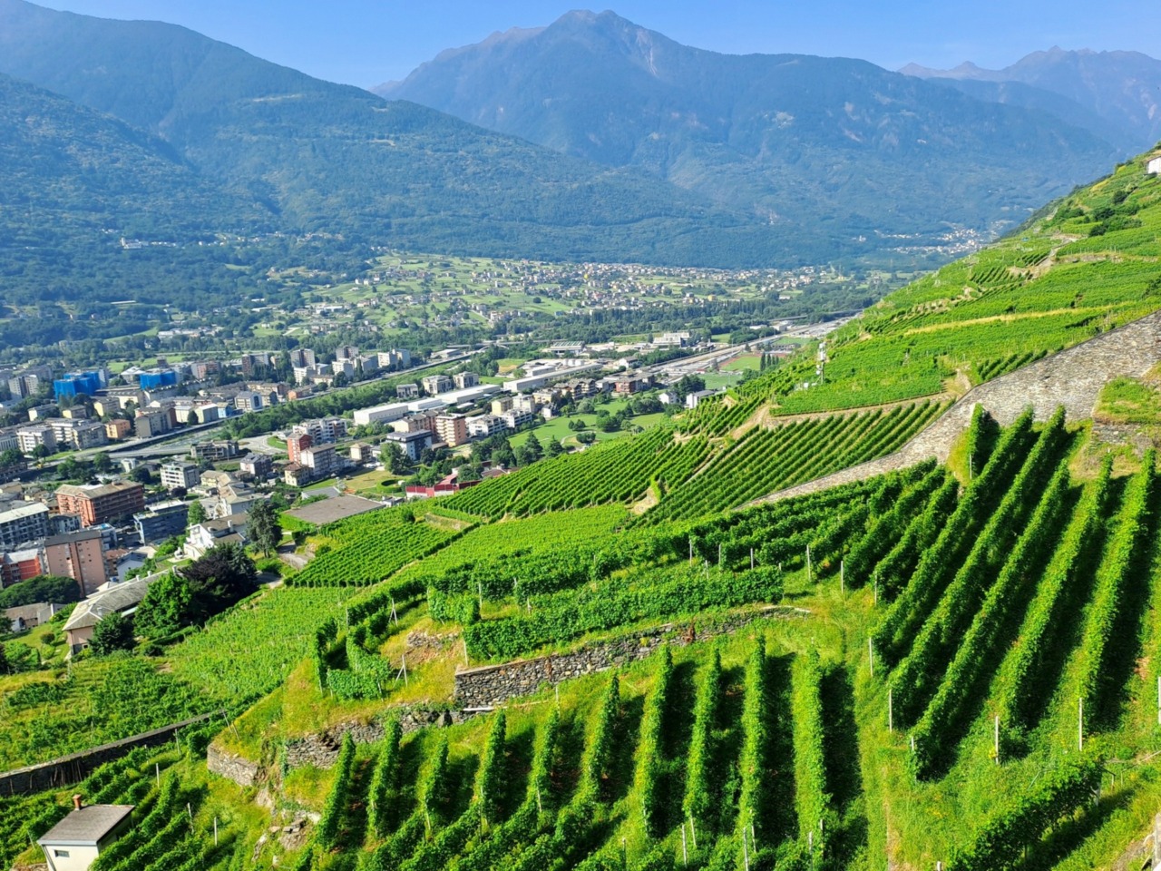 Generazione Terra, occasione strategica per i giovani dell’agricoltura di montagna
