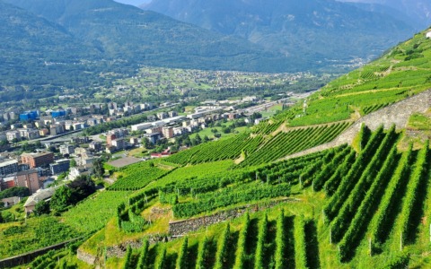Generazione Terra, occasione strategica per i giovani dell’agricoltura di montagna