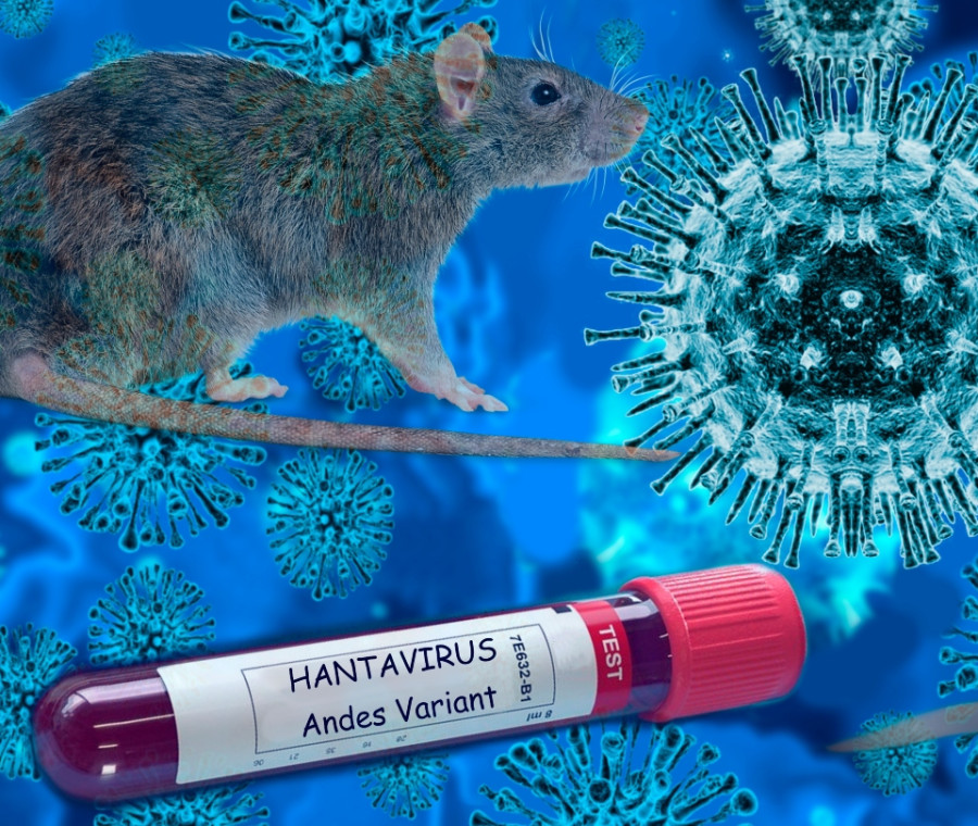 Hantavirus, Giani rassicura: “Nessun allarmismo”