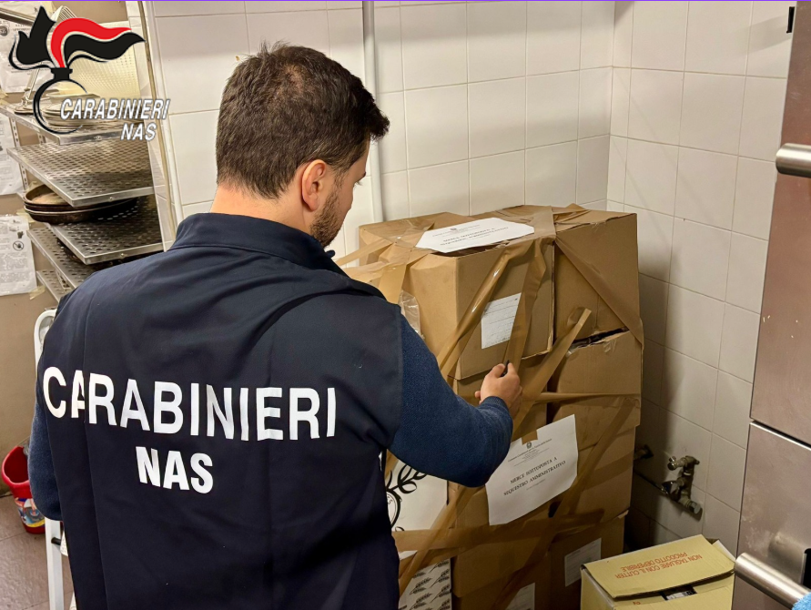 Ispezione Nas in un bar del Distretto Ceramico: trovata cucina infestata da topi e sporco