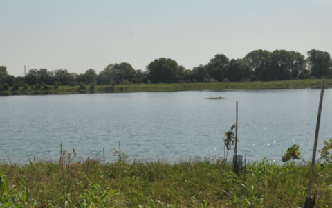L’Oasi della Martesana diventa un “hub” per l’avifauna di tutta la Lombardia