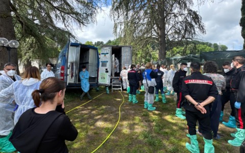 Maxi operazione al canile abusivo: in salvo 200 Siberian Husky