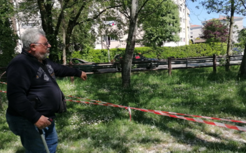 Oasi della Speranza, rubate ancora delle uova di cigno: è il quarto anno consecutivo