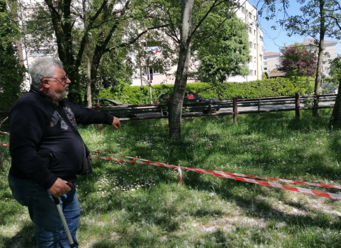Oasi della Speranza, rubate ancora delle uova di cigno: è il quarto anno consecutivo