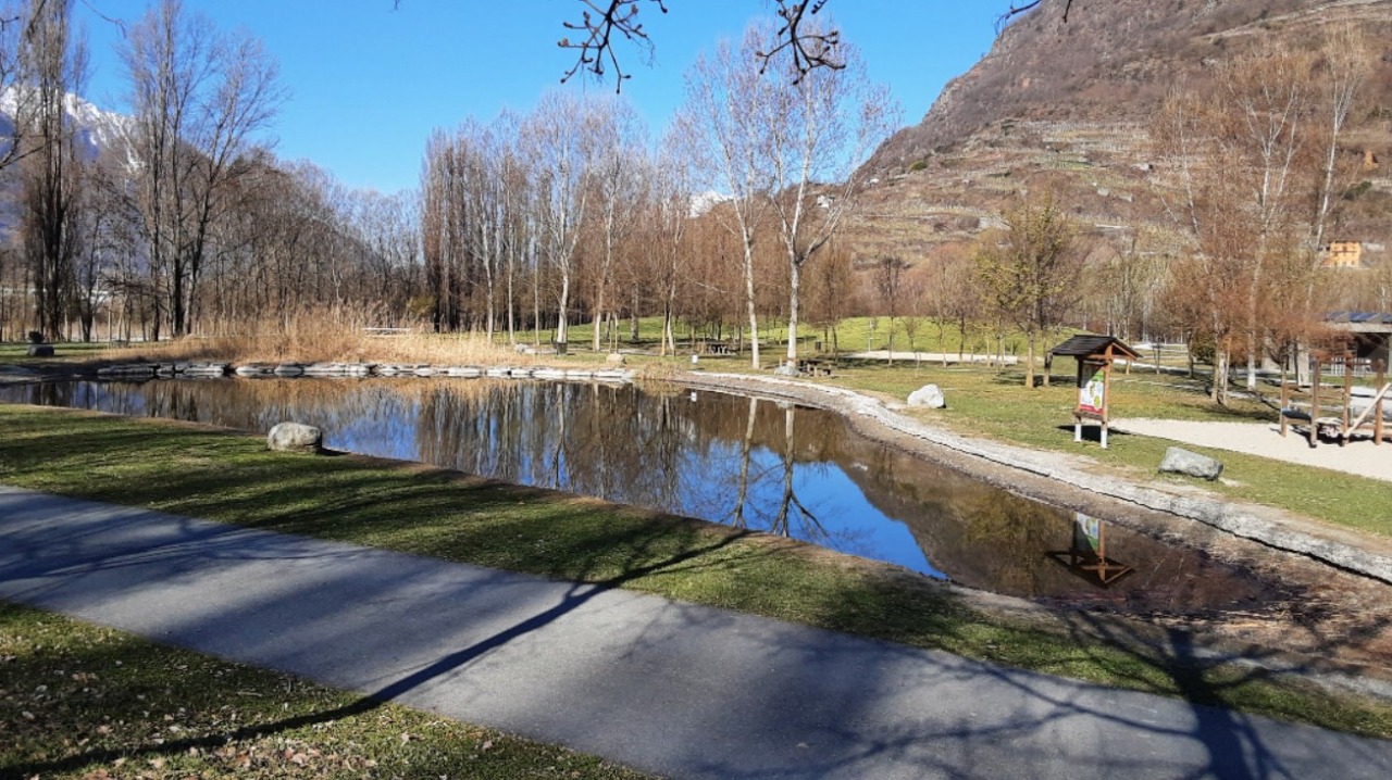 Parco Bartesaghi, a breve la riapertura del bar