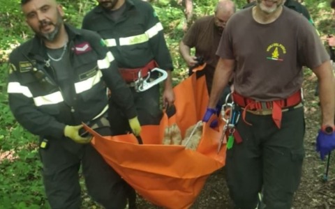 Pecora resta “intrappolata” in un calanco di Roccamalatina: salvata dai vigili del fuoco