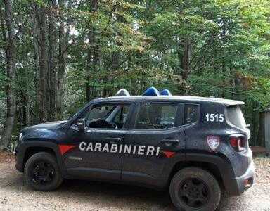 Rapallo, discarica abusiva a San Maurizio di Monti: il sindaco ordina la bonifica immediata