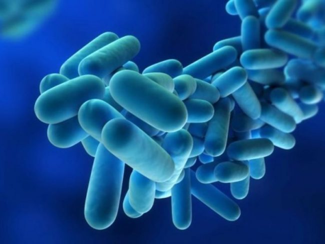Rischio legionella negli ambienti di lavoro, incontro in Confapi