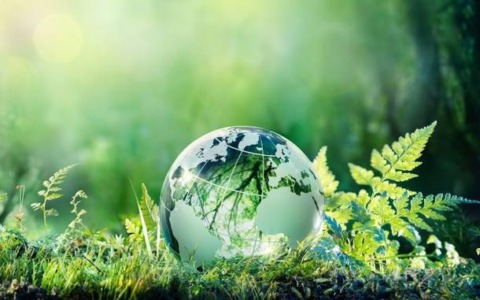 Varese Green Network 2026: al via la call per idee sulla sostenibilità