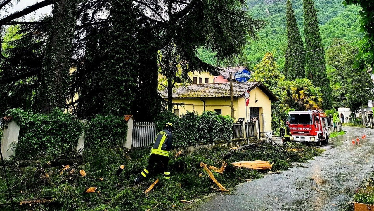Vento e maltempo:  alberi abbattuti e strada interrotta dopo un fulmine