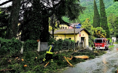 Vento e maltempo:  alberi abbattuti e strada interrotta dopo un fulmine